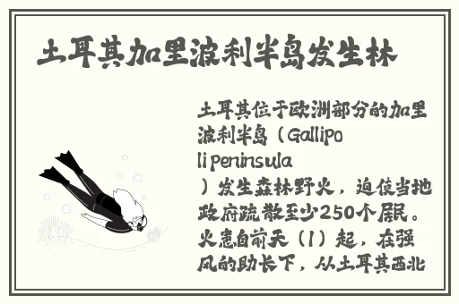 病勤楼栋第一季第十集